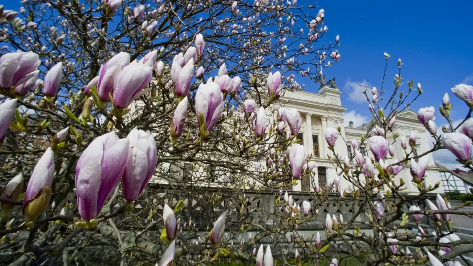 Photo of the University building.