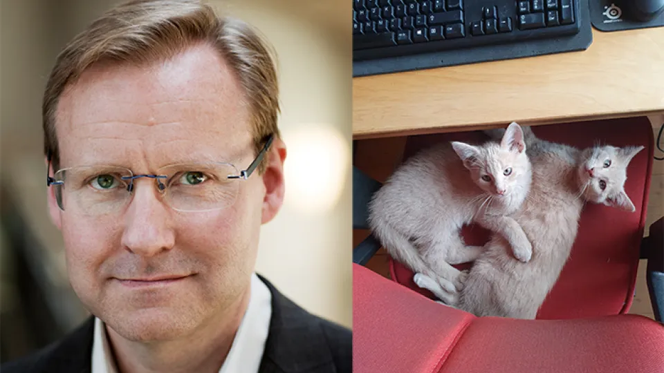 Photos of Jörgen Hettne and his two cats Bill & Bull