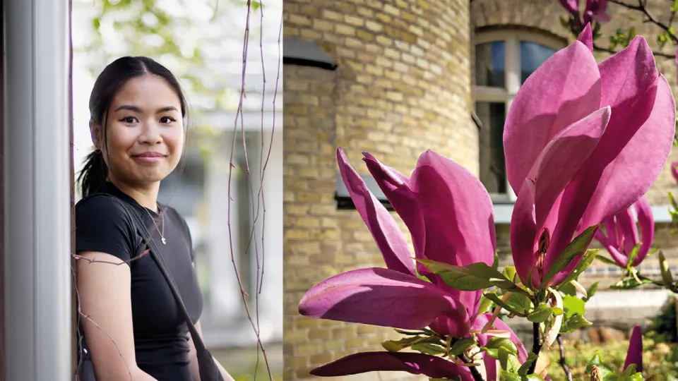 Young woman standing in university environment. Magnolia. Photo collage.
