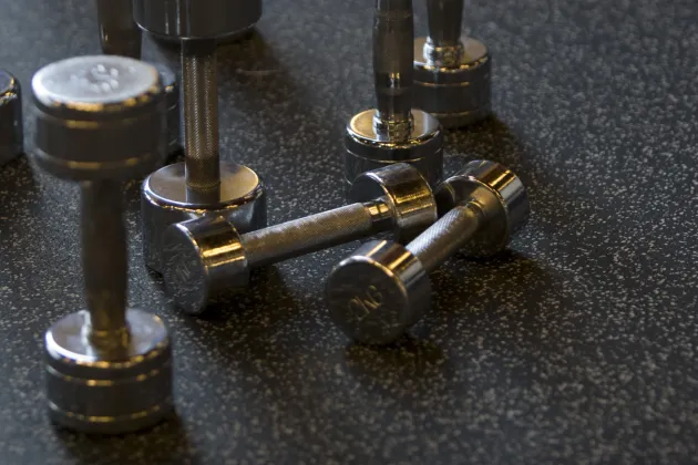 weight handles