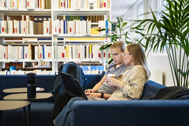 a photograph of two students sitting on a sofa looking at a laptop.