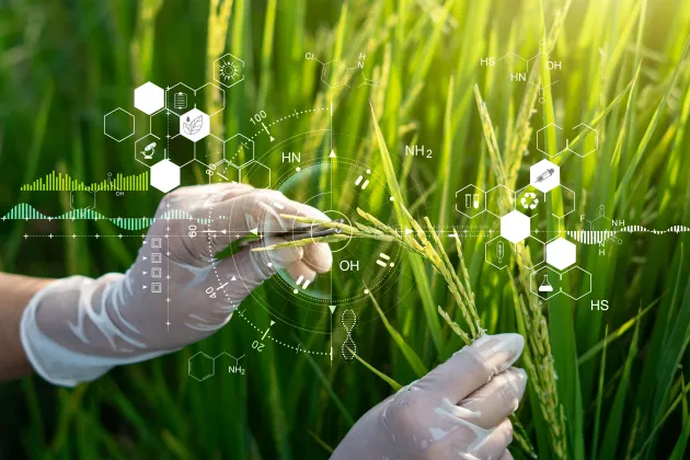 photo of green seeds and laboratory work
