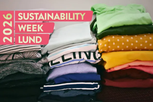 Piles of clothes. Photo.