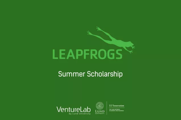 Summer scholarship 