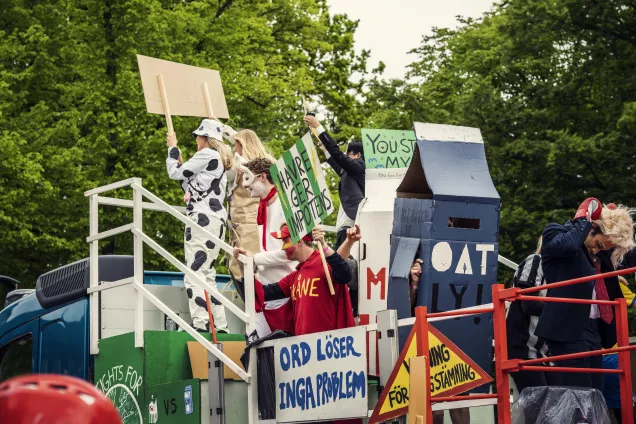 Photo from the Lund Carnival.