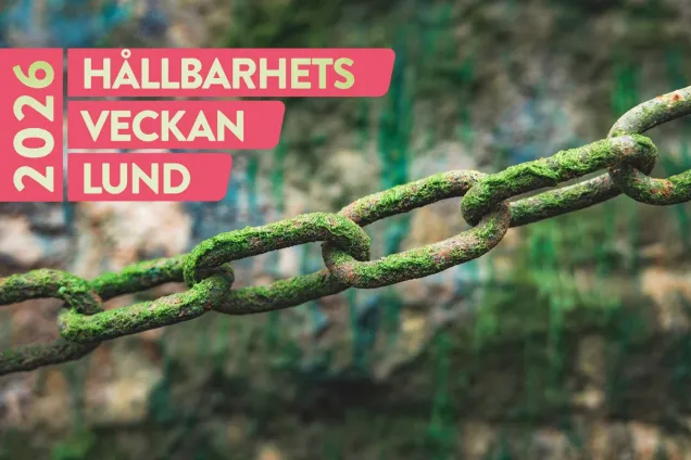 Green chain with the logotype of Lund Sustainability Week 2026