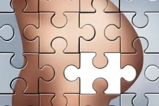Photo of a puzzle