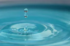 Water drop. Photo.